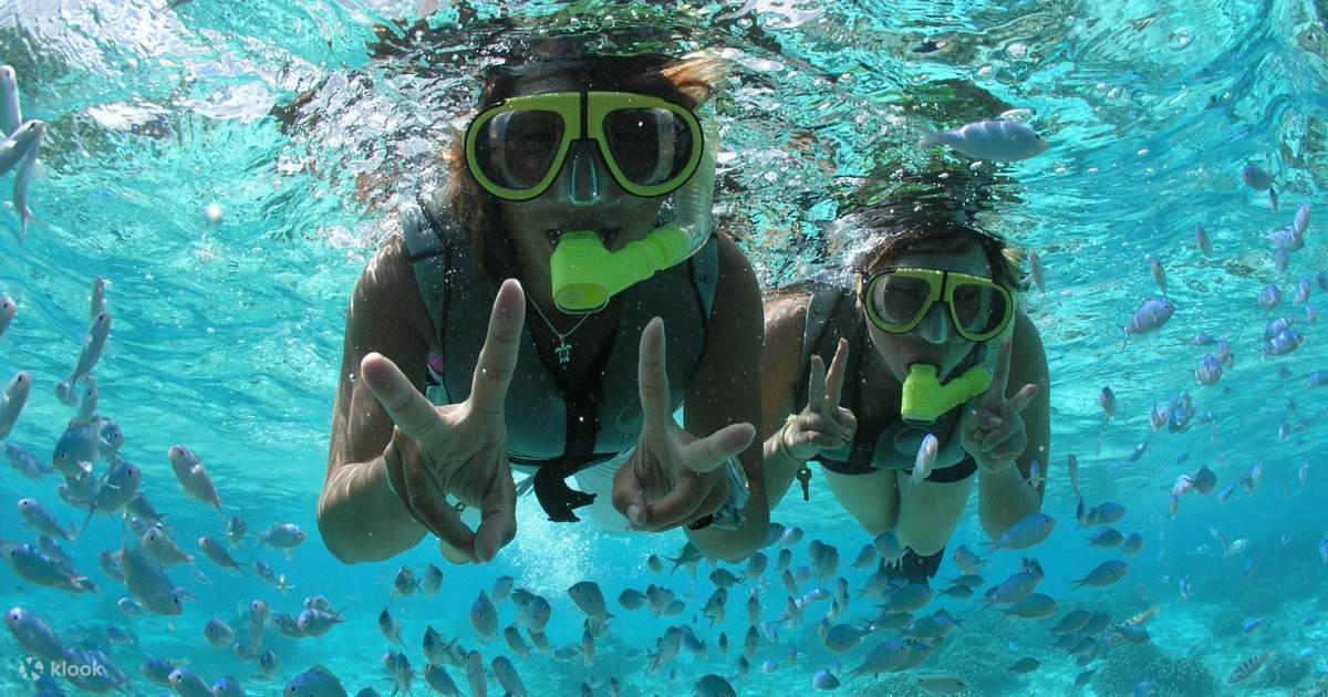 Snorkeling and Sea Turtle Watching Experience in Guam Klook Hong Kong